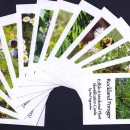 Video: Plant Identification Field Cards