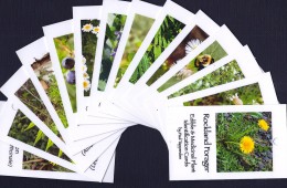 Video: Plant Identification Field Cards