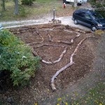 C_Front yard sheet mulched and pathways layed out at our house in Oak Bluffs, MA. In spring we will plant currants, gooseberries, blueberries, a persimmon and more.