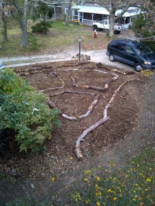 Front yard sheet mulched and pathways layed out at our house in Oak Bluffs, MA. In spring we will plant currants, gooseberries, blueberries, a persimmon and more.