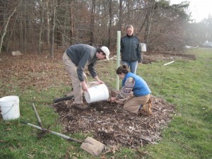 The beginning of the Native Earth Teaching farm Edible forest garden in Marthas Vineyard, MA