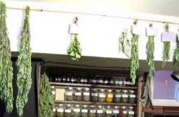 Quick tip: Video: Drying Herbs