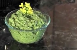 Recipe Quick Tip: Video: Making Virginia Pepperweed Pesto