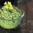 Recipe Quick Tip: Video: Making Virginia Pepperweed Pesto