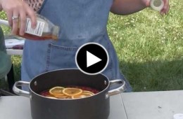 Video: Feed Your Farmers: Stuffed Grape Leaves and Wineberry Sangria