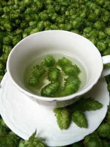 Hops Tea