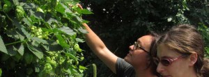 Sachiko and Adrienne picking hops